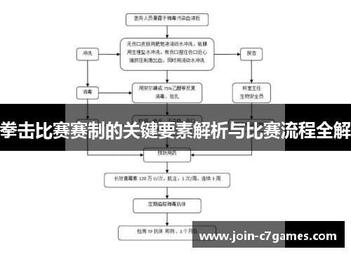 拳击比赛赛制的关键要素解析与比赛流程全解